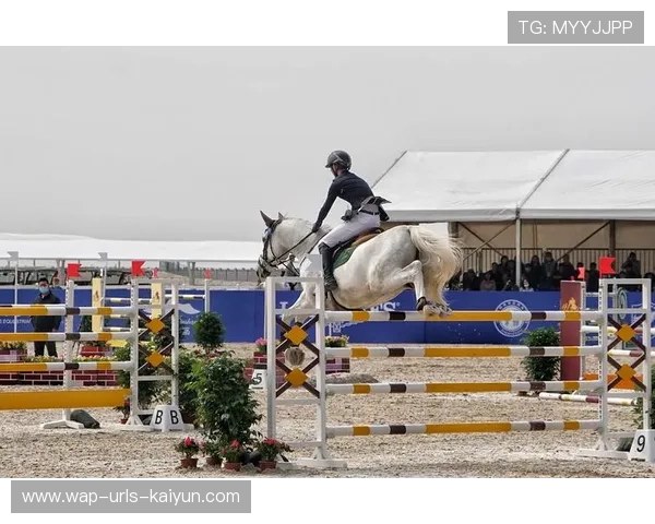 马术障碍赛选手跨越最高栏杆全场沸腾